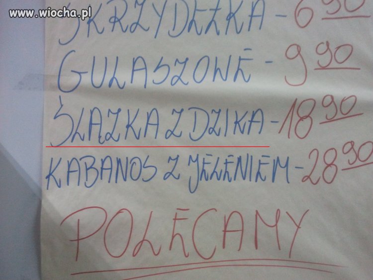 Po co mi ortografia...