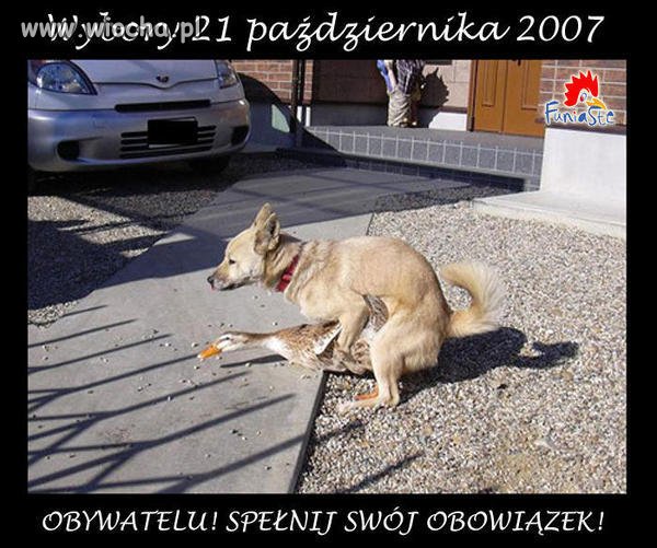 Teraz już wiem