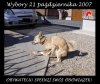 Teraz już wiem