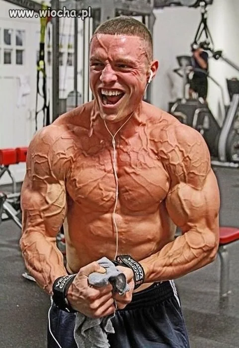 Waskularyzacja