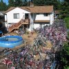 There are nine million bicycles... 
