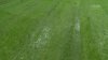 Narodowy Stadion czy Basen ?