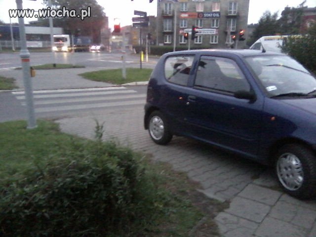 Mistrz parkowania