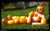 Halloween się zbliża