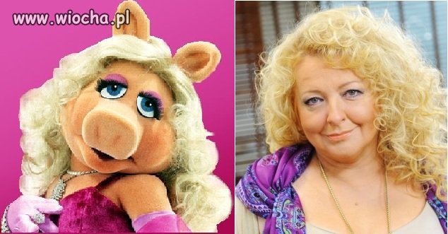 MIss Piggy i Gessler
