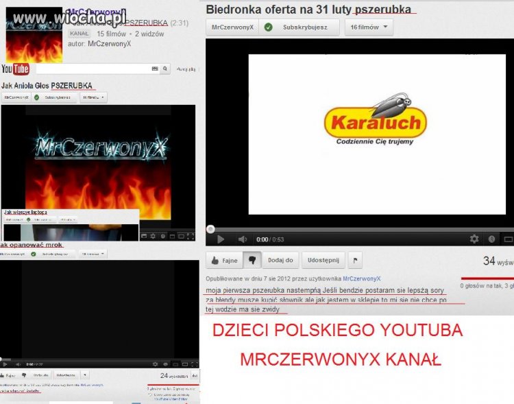 Dzieci Polskiego Youtuba