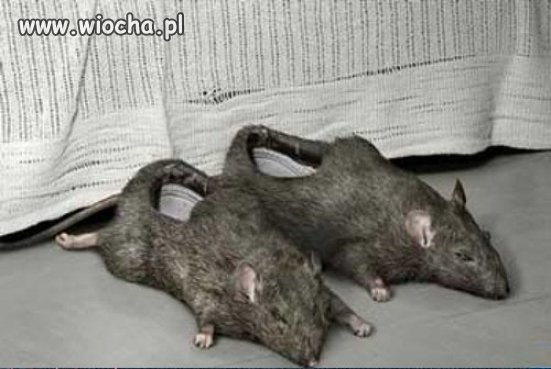 Kapcie