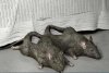 Kapcie