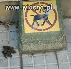 Yy..