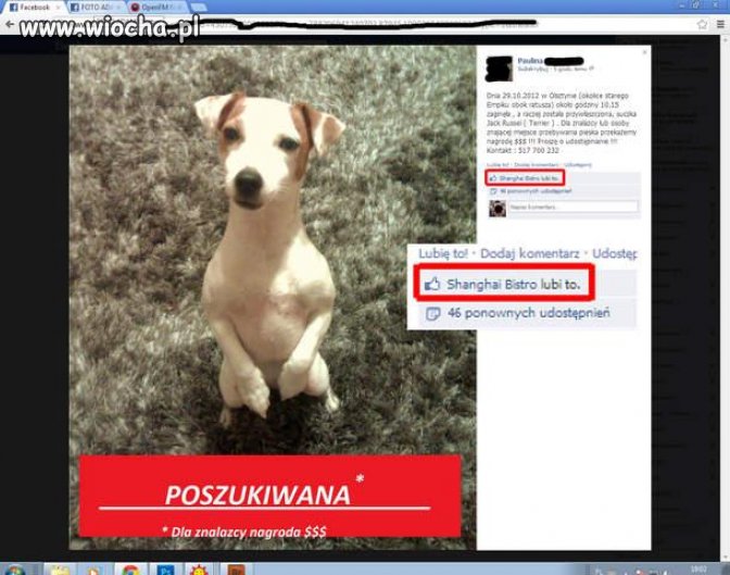 I wszystko jasne