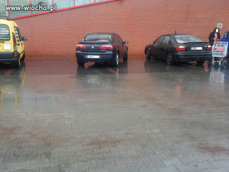 Kolejni specjaliści od parkowania