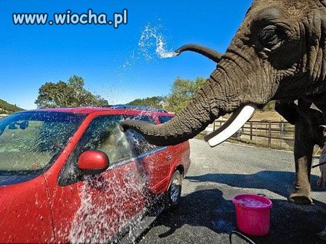 Po co płacić ludziom za pracę?