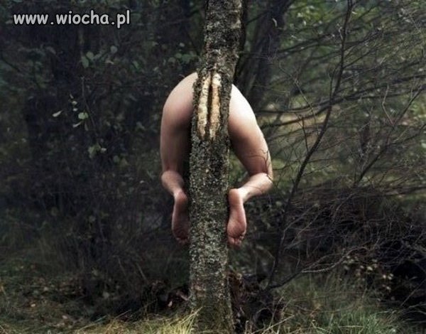 Leśne stwory atakują