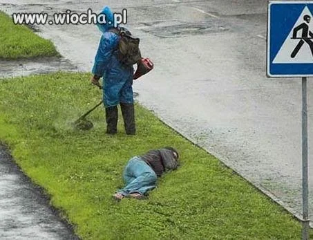 Co w trawie piszczy.