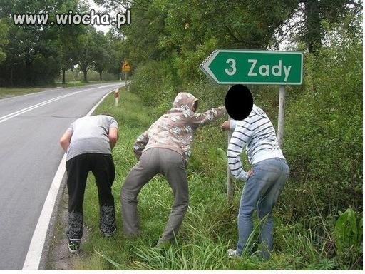Zady 