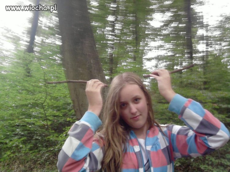 Renifer.