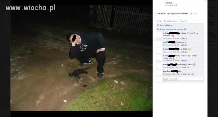 Takie tam z przejechanym kotem...