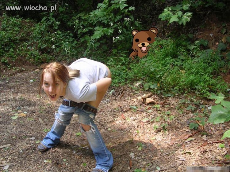 Pedobear 
