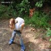Pedobear 