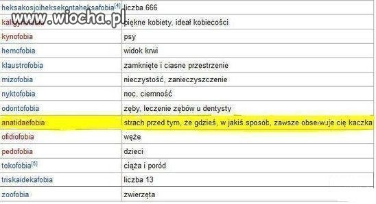 Co dręczy Donalda T ?