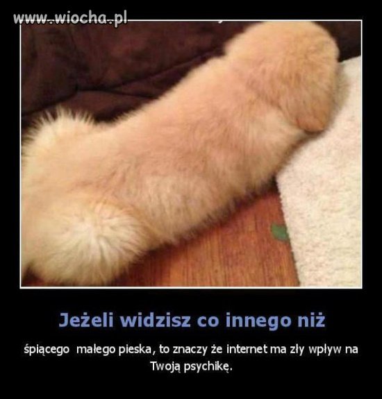 Jeśli widzisz coś innego niż 