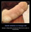 Jeśli widzisz coś innego niż 