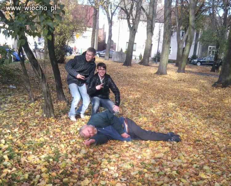 LANS NA ŻULA
