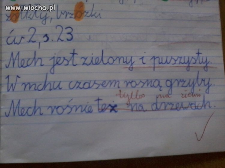 Pani nauczycielka o mchu wie wszystko...