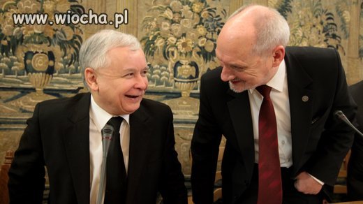 PINKY&MÓZG