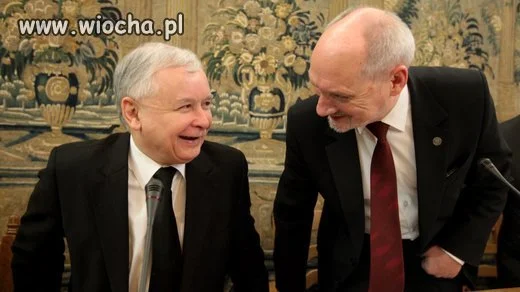 PINKY&MÓZG