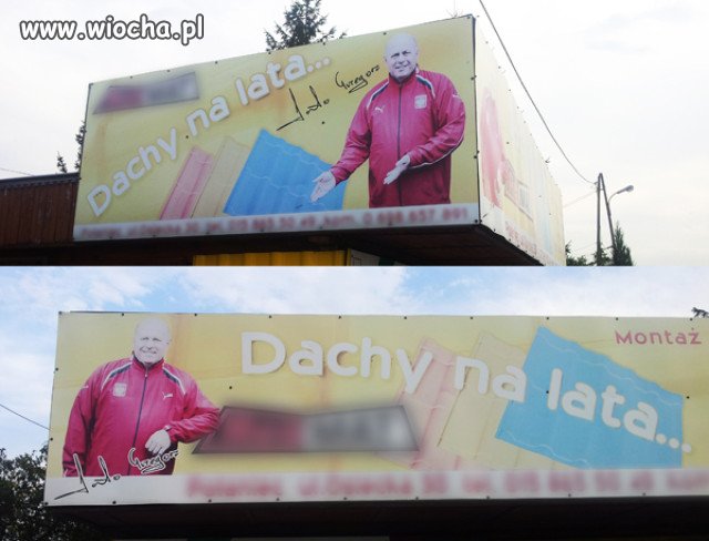 A propos dachów... Pan Lato coś o nich wie...