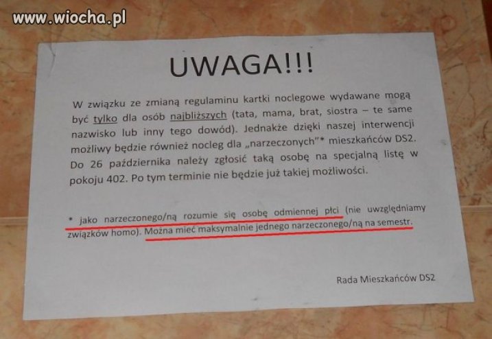 Jednego narzeczonego na semestr 