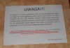 Jednego narzeczonego na semestr 