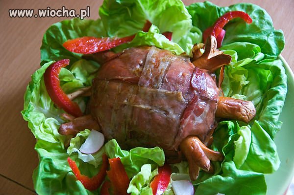 Mięsny żółw