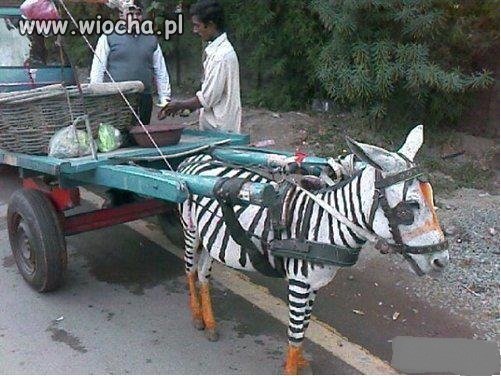 To jest prawdziwy wiejski tuning