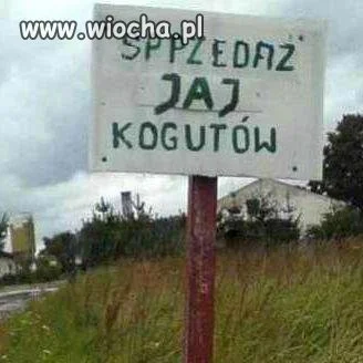 Bo gdzieś w kraju ...