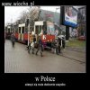 Szczecin Wita 