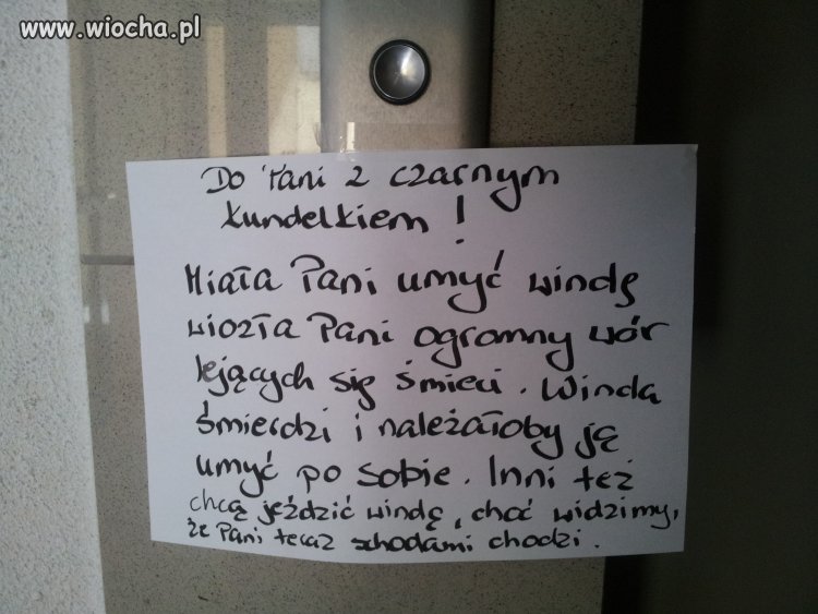 Pani z czarnym kundelkiem