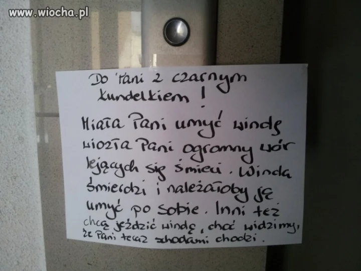 Pani z czarnym kundelkiem