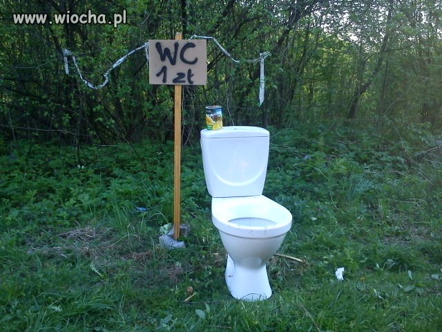 Eee, yyy nie ogarniam  