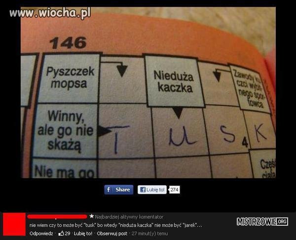 Kto się zgadza z krzyzówką 