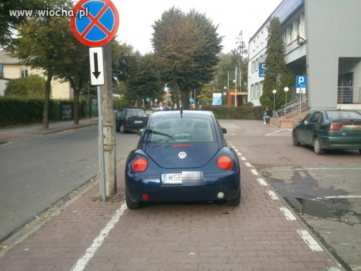 Mistrzowie parkowania