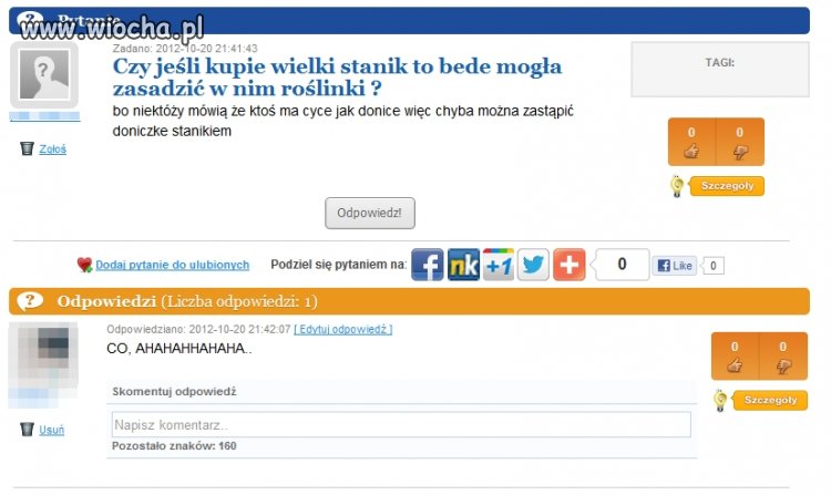 Sadzenie roślinek