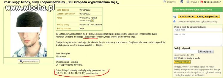 Szukam pracy...