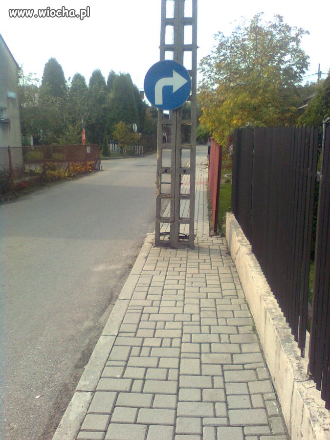 XXI wiek 
