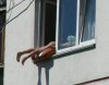 Po co solarium...