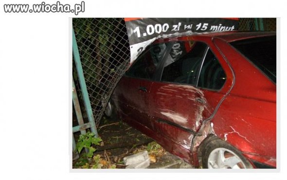 To zdjęcie pokazuje :