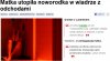 Nie mogę tego ogarnąć.