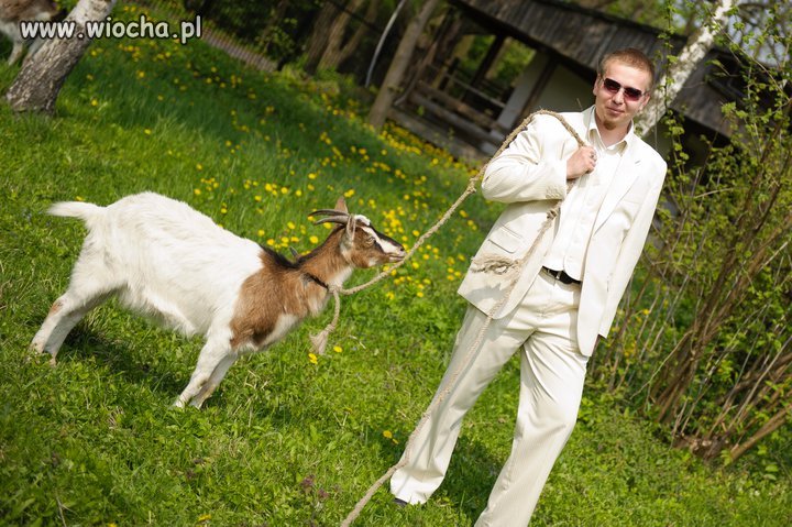Zdjęcie z wesela.