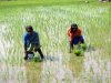 Tymczasem na Stadionie Narodowym
